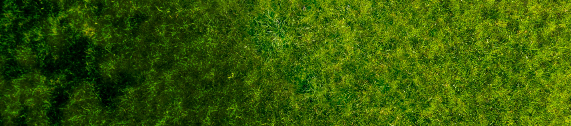 Promo Background Small Desktop