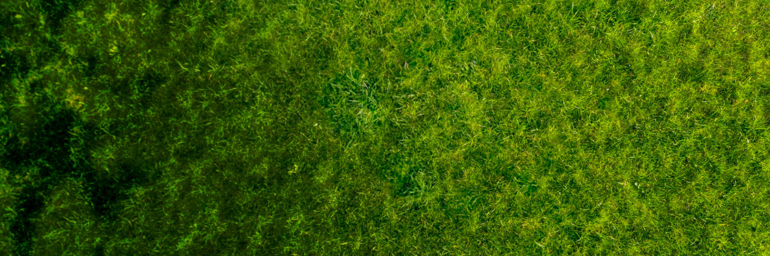 Promo Background Tablet