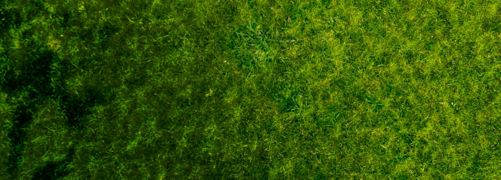 Promo Background Mobile