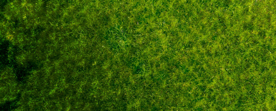 Promo Background Small Mobile