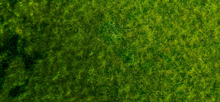 Promo Background Ex-Small Mobile