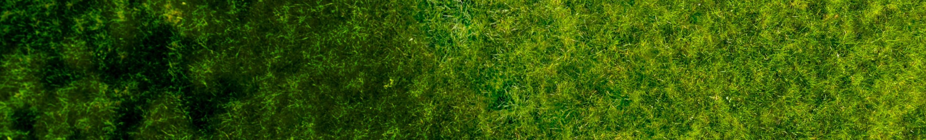 Promo Background Desktop